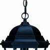 Homeroots 14 x 9.5 x 9.5 in. Richmond 1-Light Matte Black Hanging Light 398003